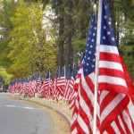 flags on skyway